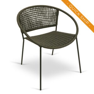 Charcoal HL574